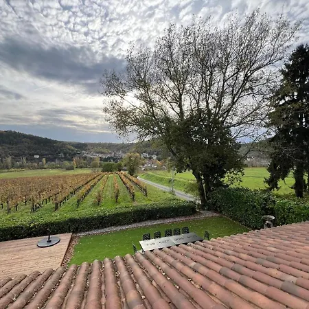 Maison De Avec Vue Au Coeur Des Vignes * Albas (Lot)