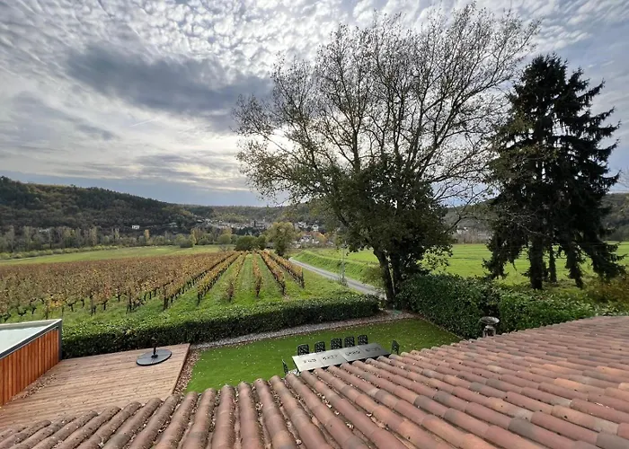 Maison De Avec Vue Au Coeur Des Vignes * Albas (Lot)